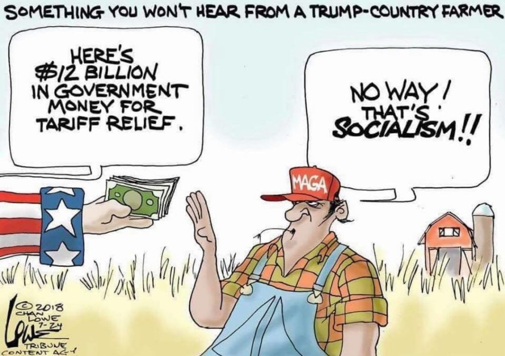 Majority of Trump’s bailout billions went to rich corporate farms, not to his #MAGA farming voters. 1