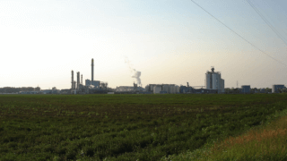 Donald Trump has an ethanol problem