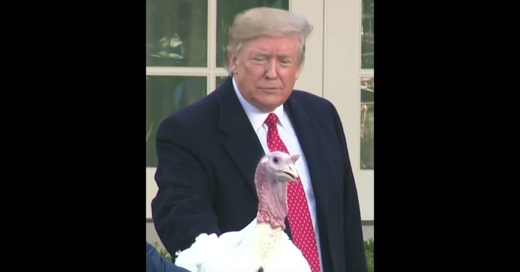 Renaming Thanksgiving: Trump's newest cooked-up conspiracy
