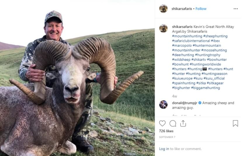 Trump Jr killed an endangered Mongolian horned-sheep, and then got away with it thanks to his dad 1