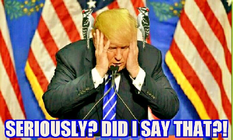Trump’s cutting pay for millions because of 'Serious Economic Conditions.'