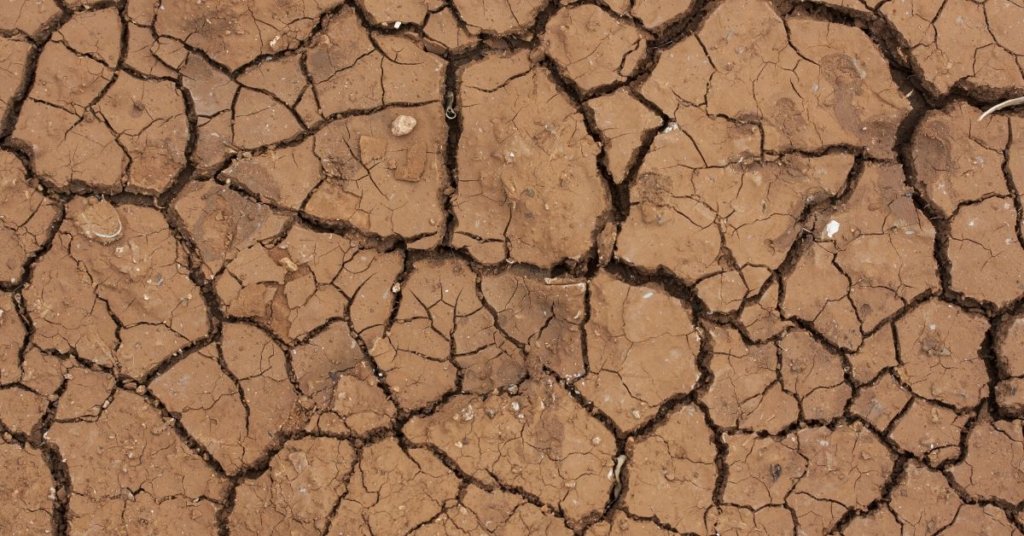 Dry cracked mad