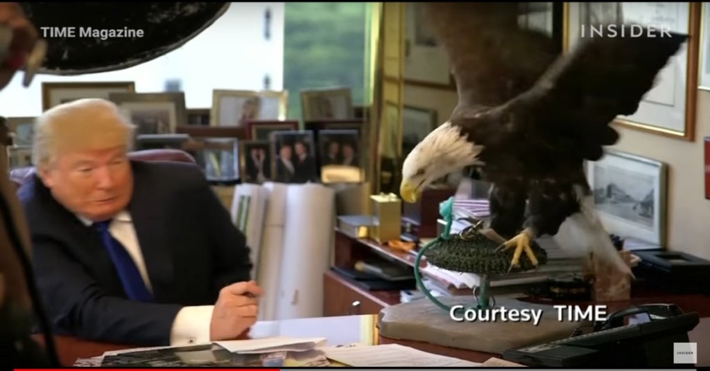 Trump afraid eagle attack